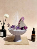 Lavender Lotus Crystal Mini Garden Arrangement